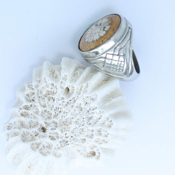 Fossilized Coral 2